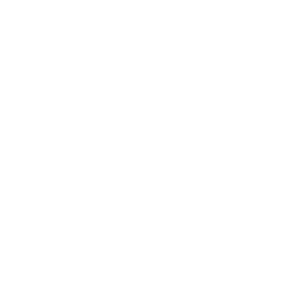 Logo BELLAVIDA (2)